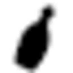 bottledwisdom Logo